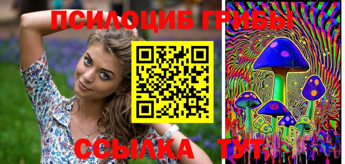 Галлюциногенные грибы мицелий  Галлюциногенные грибы GOLDEN TEACHER  Вход с VPN  Алатырь 