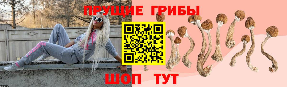 Галлюциногенные грибы прущие грибы Алатырь